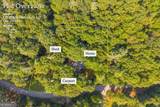 113 Biddy Mtn Lane - Photo 61