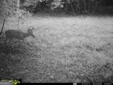 2260 Athens Highway - Photo 18