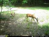 2260 Athens Highway - Photo 19