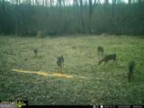 2260 Athens Highway - Photo 20