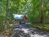 97 Eagles Nest Road - Photo 6