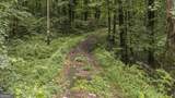 6733 Hwy 155 - Photo 13