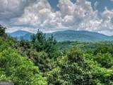 LT 60 Necowa Cove Overlook - Photo 19