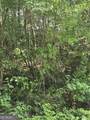 0 Chopped Oak - Photo 5