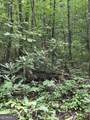 0 Chopped Oak - Photo 9