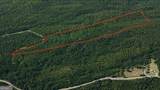 0 Holly Creek Cool Spr Road - Photo 1
