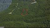 0 Holly Creek Cool Spr Road - Photo 2