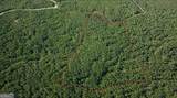 0 Holly Creek Cool Spr Road - Photo 3