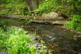 460 Wikle Drive - Photo 4