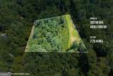 TRACT C Hicks Ford Road - Photo 1