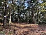 427 Kinney Creek Lane - Photo 11