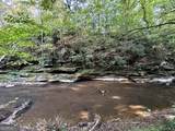 427 Kinney Creek Lane - Photo 14