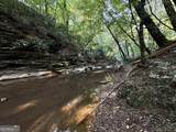427 Kinney Creek Lane - Photo 15