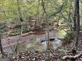 427 Kinney Creek Lane - Photo 19