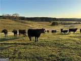 1126 County Road 145 - Photo 10