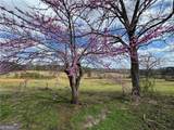 1126 County Road 145 - Photo 19