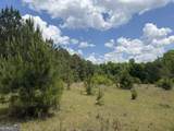 004 Little Sandy Creek Road - Photo 3
