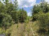 004 Little Sandy Creek Road - Photo 6