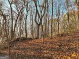 LOT 1 Mount Mincie Road - Photo 10