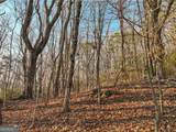 LOT 1 Mount Mincie Road - Photo 9