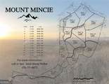 LOT 3 Mount Mincie Road - Photo 17