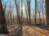 LOT 3 Mount Mincie Road - Photo 29