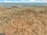 LOT 4 Mount Mincie Road - Photo 3