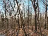 LOT 4 Mount Mincie Road - Photo 9
