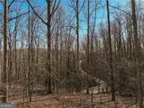 LOT 5 Mount Mincie Road - Photo 11