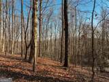 LOT 5 Mount Mincie Road - Photo 9