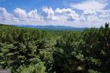 9 Foxpaw Leaf Court - Photo 20