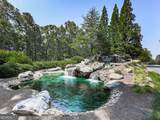 424 Larkspur Drive - Photo 60