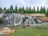 100 Crape Myrtle Drive - Photo 69