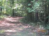 1680 Mount Carmel Road - Photo 14