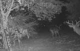 0 Hwy 62 - Photo 10