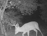 0 Hwy 62 - Photo 11