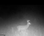 0 Hwy 62 - Photo 12