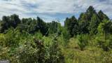10.8 AC Cody Road - Photo 4