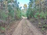 0 - TRACT 1 Mt Zion Church Road - Photo 7
