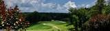 109 Forest View Circle - Photo 4