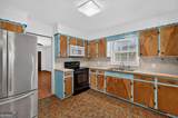 26 Marion Street - Photo 16