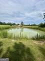 3858 Sapps Lake Rdn/A - Photo 5