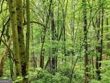 LT 27 Deer Crest Road - Photo 10