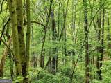 LT 27 Deer Crest Road - Photo 28