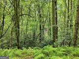 LT 27 Deer Crest Road - Photo 8