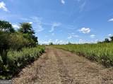 6186 Harvey Road - Photo 15