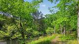 LT 188R Pinnacle Drive - Photo 24
