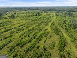 3605 Perkins Hiltonia Road - Photo 13