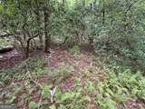 0 Skylake And Wheeler Ridge Road - Photo 12