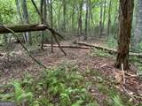 0 Skylake And Wheeler Ridge Road - Photo 13